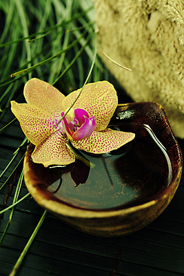 포토 JPG 해외이미지 그릇 잎 실내 사람없음 물 수건 스파용품 아로마테라피 난초꽃 해외202004 해외포토 자연요소 식물 식기 꽃 내부 위생용품 스파 난초 오브젝트 테라피 파일형식