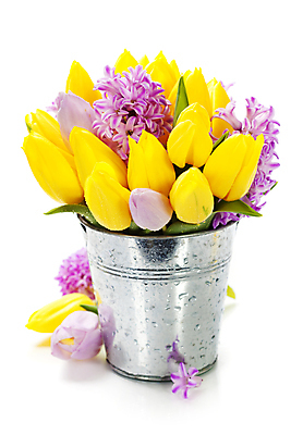 포토 JPG 해외이미지 꽃다발 봄꽃 실내 사람없음 튤립 양동이 흰배경 히아신스 해외202004 해외포토 꽃 백그라운드 내부 봄 흰색 파일형식