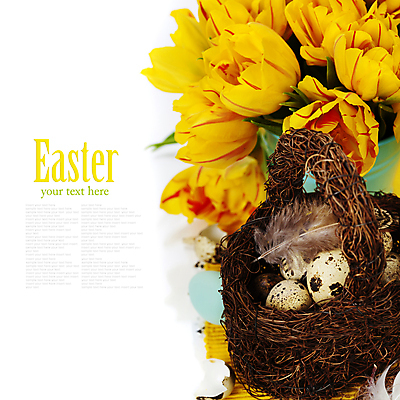 포토 JPG 해외이미지 꽃다발 부활절 실내 타이포그라피 사람없음 바구니 튤립 껍질 깃털 흰배경 부활절계란 메추리알 카피스페이스 해외202004 해외포토 문자 기념일 꽃 백그라운드 내부 계란 알 공백 흰색 파일형식