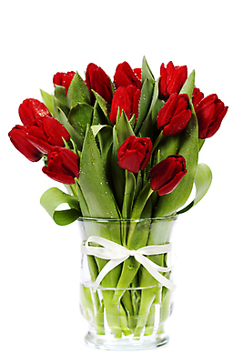 포토 JPG 해외이미지 리본 꽃다발 사람없음 꽃병 튤립 흰배경 해외202004 해외포토 꽃 백그라운드 흰색 파일형식