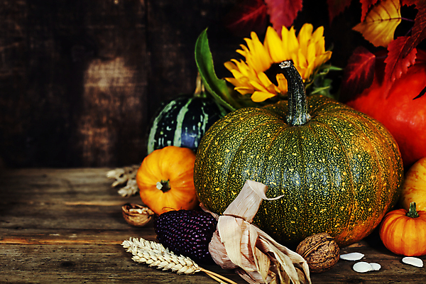 포토 JPG 해외이미지 낙엽 호박 해바라기 실내 사람없음 농작물 벼 가을 나무바닥 호두 추수감사절 호박씨 흑찰옥수수 해외202004 해외포토 계절 꽃 기독교 잎 농업 채소 곡류 바닥 씨앗 내부 견과류 찰옥수수 파일형식