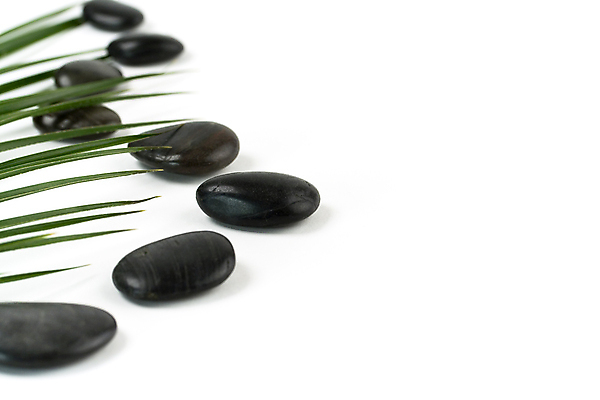 포토 JPG 해외이미지 잎 실내 사람없음 흰배경 아로마 아로마테라피 스톤 카피스페이스 해외202004 해외포토 식물 백그라운드 내부 공백 흰색 테라피 파일형식