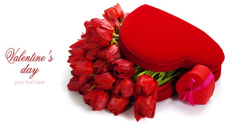 포토 JPG 해외이미지 리본 꽃다발 캘리그라피 발렌타인데이 사람없음 튤립 흰배경 하트상자 해외202004 해외포토 꽃 백그라운드 데이이벤트 상자 흰색 파일형식