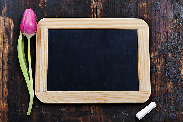 포토 JPG 해외이미지 실내 사람없음 칠판 튤립 분필 나무바닥 카피스페이스 해외202004 해외포토 꽃 바닥 내부 공백 초크 파일형식