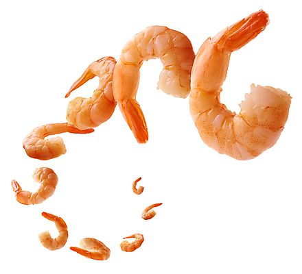 포토 JPG 해외이미지 새우 사람없음 맛있는 해외포토 갑각류 파일형식