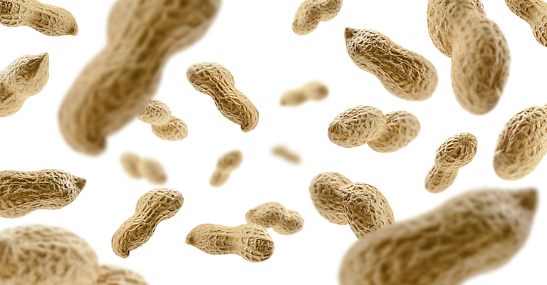 포토 JPG 해외이미지 사람없음 견과류 땅콩 해외포토 파일형식