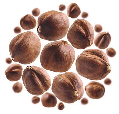 포토 JPG 해외이미지 사람없음 견과류 알맹이 헤이즐넛 개암 해외포토 열매 파일형식