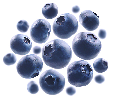 포토 JPG 해외이미지 사람없음 블루베리 맛있는 해외포토 과일 파일형식