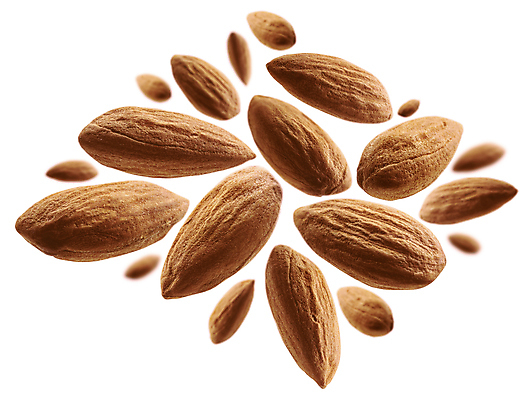 포토 JPG 해외이미지 사람없음 견과류 알맹이 아몬드 해외포토 파일형식