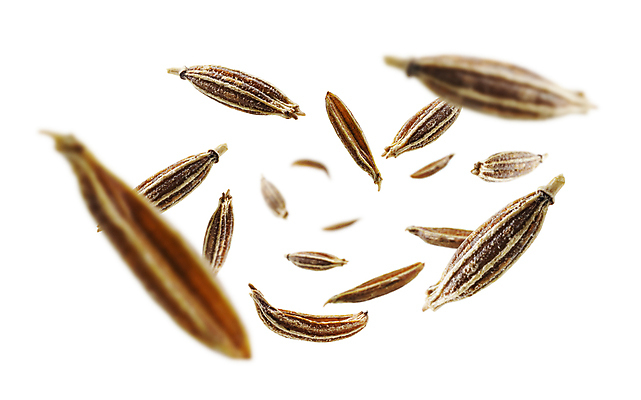 포토 JPG 해외이미지 동양인 사람없음 조미료 해외포토 인종 향미료 파일형식