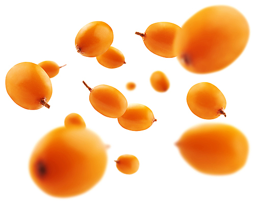 포토 JPG 해외이미지 열매 사람없음 해외포토 식물 파일형식