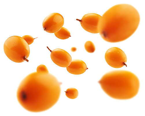 포토 JPG 해외이미지 사람없음 해외포토 파일형식