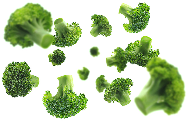 포토 JPG 해외이미지 사람없음 브로콜리 양배추 해외포토 채소 파일형식