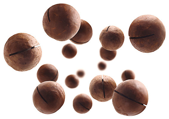 포토 JPG 해외이미지 사람없음 견과류 균열 알맹이 마카다미아 해외포토 모션 파일형식