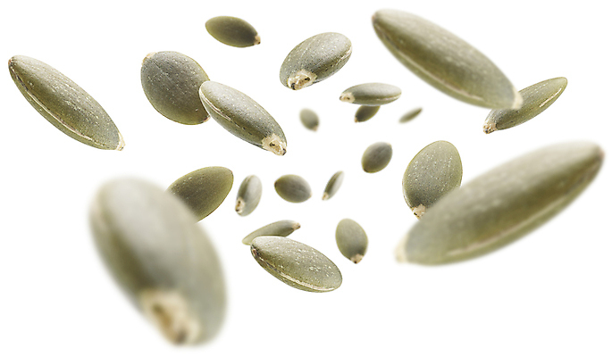 포토 JPG 해외이미지 사람없음 알맹이 호박씨 해외포토 씨앗 파일형식