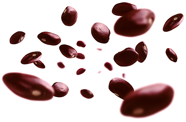 포토 JPG 해외이미지 사람없음 팥 해외포토 파일형식