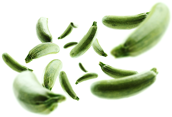 포토 JPG 해외이미지 호박 사람없음 주키니 주키니호박 맛있는 해외포토 채소 파일형식