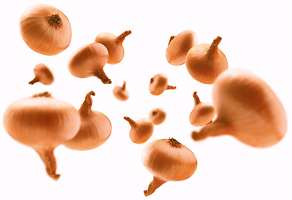 포토 JPG 해외이미지 양파 사람없음 향료 해외포토 채소 향기 냄새 파일형식