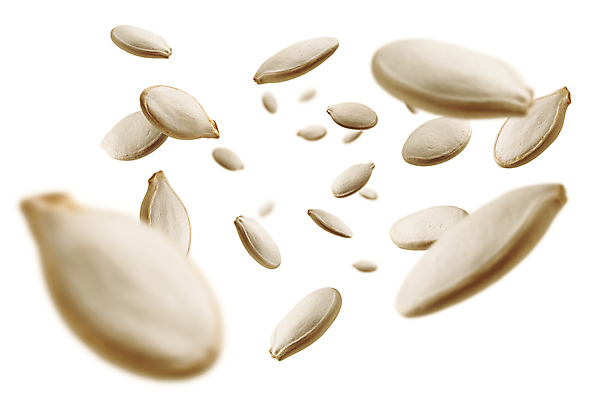 포토 JPG 해외이미지 호박 사람없음 호박씨 해외포토 채소 씨앗 파일형식