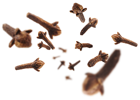 포토 JPG 해외이미지 사람없음 향신료 향료 정향나무 해외포토 나무 향기 냄새 향미료 파일형식