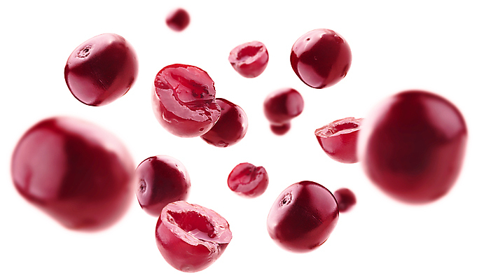 포토 JPG 해외이미지 사람없음 체리 맛있는 해외포토 과일 파일형식