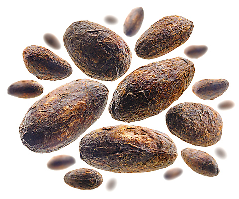 포토 JPG 해외이미지 사람없음 초콜릿 코코아 카카오 맛있는 해외포토 음료 디저트 파일형식