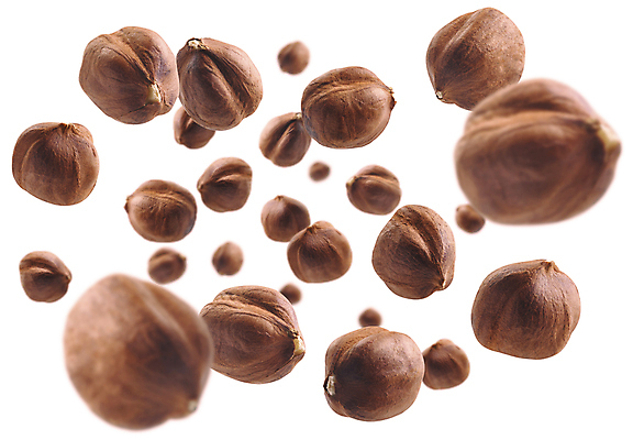 포토 JPG 해외이미지 사람없음 견과류 알맹이 헤이즐넛 개암 해외포토 열매 파일형식