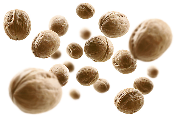 포토 JPG 해외이미지 사람없음 견과류 알맹이 호두 맛있는 해외포토 파일형식