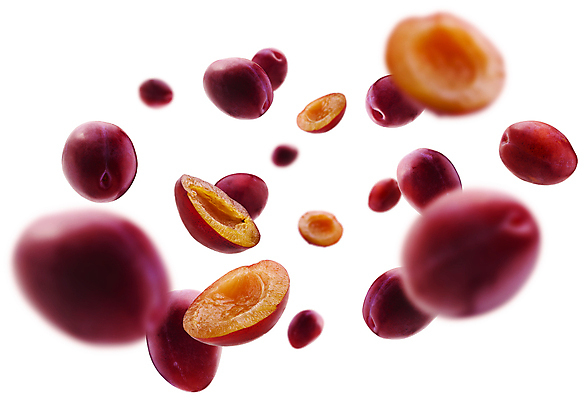 포토 JPG 해외이미지 사람없음 자두 맛있는 해외포토 과일 파일형식