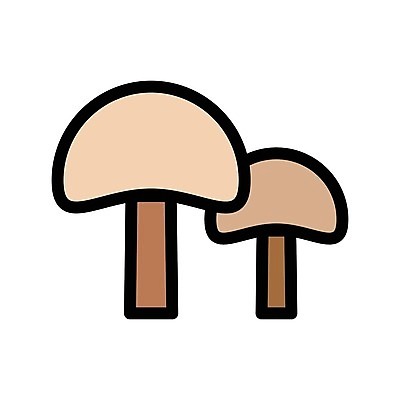 EPS 해외이미지 식물 공원 음식 조각 백그라운드 일러스트 자연 건강 미술 검은색 식사 버섯 신선 플랫 맛 심볼 오브젝트 사인 슬라이스 윤곽 내추럴 고립 곰팡이 독버섯 캡모자 스타일 해외202105 해외일러스트 모자_잡화 공공시설 컬러 컨셉 문화예술 생태계 파일형식 벡터