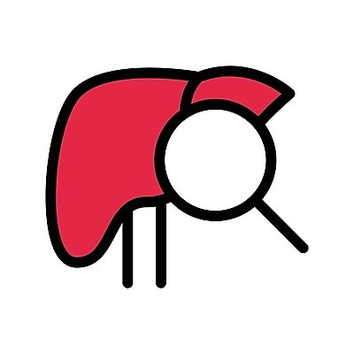 EPS 해외이미지 디자인 신체 일러스트 해부 건강 실험 사람 내부 세트 약 하트 오르간 신장 플랫 수집 가득함 심볼 사인 뇌 생물학 간 시스템 섞기 엘리먼트 해외202105 해외일러스트 모양 교육 의학 장기_의학 건반악기 비뇨기관 파일형식 벡터