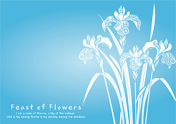 EPS 식물 템플릿 문자 문양 영어 꽃 백그라운드 무늬 꽃무늬 패턴 카드템플릿 사람없음 파란색 단어 파티 축제 잔치 이미지템플릿 카드프레임 컬러 카드_감사 프레임 이벤트 파일형식 벡터