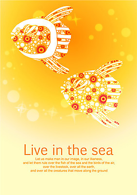 EPS 동물 템플릿 문자 문양 영어 바다 백그라운드 두마리 무늬 패턴 카드템플릿 생명 어류 사람없음 라이프 단어 노란색 물방울무늬 수영 바다동물 수중동물 원형 이미지템플릿 카드프레임 도형 컬러 2 카드_감사 프레임 생활 수상스포츠 파일형식 벡터