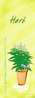 EPS 식물 템플릿 문자 문양 배너 영어 배너템플릿 꽃 세로배너 화분 점선 백그라운드 무늬 사람없음 단어 노란색 물방울무늬 허브 레몬버베나 이미지템플릿 선 컬러 세로 파일형식 벡터