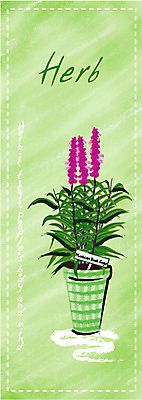 EPS 식물 템플릿 문자 문양 배너 영어 배너템플릿 꽃 세로배너 화분 점선 백그라운드 무늬 사람없음 연두색 단어 물방울무늬 허브 멕시칸부시세이지 이미지템플릿 선 세로 초록색 파일형식 벡터