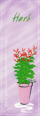 EPS 식물 템플릿 문자 문양 배너 영어 배너템플릿 꽃 세로배너 화분 점선 백그라운드 무늬 사람없음 단어 보라색 물방울무늬 허브 이미지템플릿 선 컬러 세로 파일형식 벡터