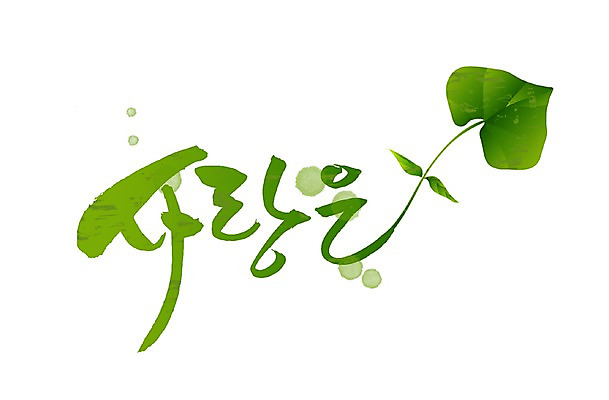 PSD 식물 문자 손글씨 문장 백그라운드 잎 일러스트 캘리그라피 나뭇잎 사랑 타이포그라피 글자캘리그라피 한글 사람없음 단어 새싹 물방울무늬 국내일러스트 감정 무늬 파일형식