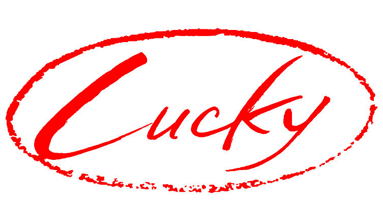 EPS 문자 손글씨 영어 문장 컬러 백그라운드 일러스트 캘리그라피 프레임 틀 타이포그라피 글자캘리그라피 사람없음 빨간색 단어 도장 운세 행운 러키 국내일러스트 컨셉 파일형식 벡터