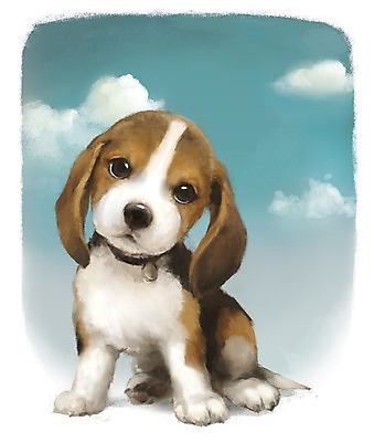 PSD 동물 구름 한마리 백그라운드 포유류 사람없음 반려동물 귀여움 개 강아지 비글 자연요소 1 컨셉 파일형식