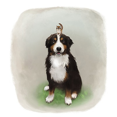 PSD 동물 한마리 백그라운드 포유류 사람없음 반려동물 귀여움 개 강아지 다람쥐 버니즈마운틴독 1 컨셉 설치류 파일형식