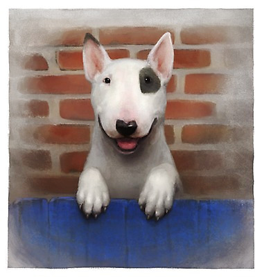 PSD 동물 한마리 벽 백그라운드 포유류 사람없음 담장 반려동물 귀여움 개 강아지 불테리어 점박이 1 컨셉 테리어 파일형식