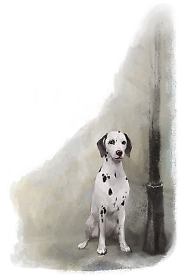 PSD 동물 한마리 백그라운드 가로등 포유류 사람없음 반려동물 귀여움 개 강아지 달마시안 점박이 1 공공시설 컨셉 파일형식