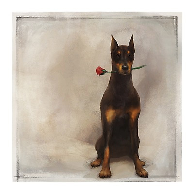 PSD 동물 한마리 꽃 백그라운드 한송이 포유류 사람없음 반려동물 장미 귀여움 강아지 도베르만핀셔 식물 1 컨셉 개 송이 파일형식 핀셔