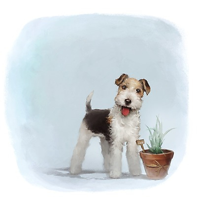 PSD 동물 한마리 화분 백그라운드 포유류 사람없음 반려동물 귀여움 개 강아지 폭스테리어 1 컨셉 테리어 파일형식