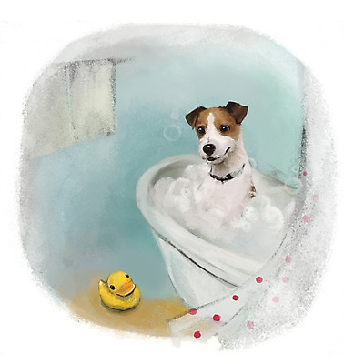 PSD 동물 한마리 백그라운드 포유류 욕조 사람없음 반려동물 수건 장난감 귀여움 욕실 커튼 개 강아지 화장실 잭러셀테리어 1 컨셉 위생용품 테리어 파일형식