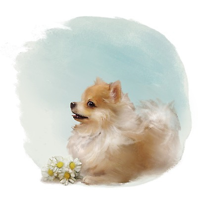 PSD 동물 한마리 꽃 백그라운드 포유류 사람없음 반려동물 갈색 귀여움 개 강아지 포메라니안 식물 1 컬러 컨셉 파일형식