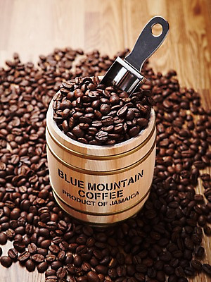 포토 JPG 열매 커피 실내 통 사람없음 원두 낟알 드럼통 스쿱 국내포토 식물 음료 내부 파일형식