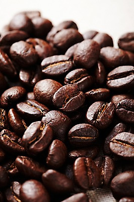 포토 JPG 스튜디오촬영 열매 커피 실내 사람없음 원두 낟알 국내포토 식물 음료 내부 파일형식