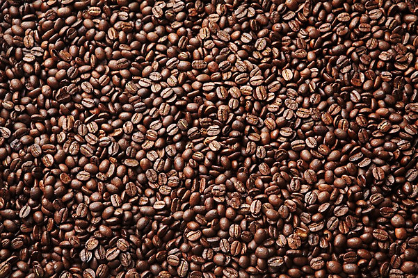 포토 JPG 스튜디오촬영 열매 커피 백그라운드 실내 사람없음 원두 낟알 국내포토 식물 음료 내부 파일형식