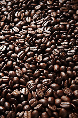 포토 JPG 스튜디오촬영 열매 커피 백그라운드 실내 사람없음 원두 낟알 국내포토 식물 음료 내부 파일형식